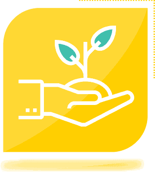 Icon of hand holding seedling